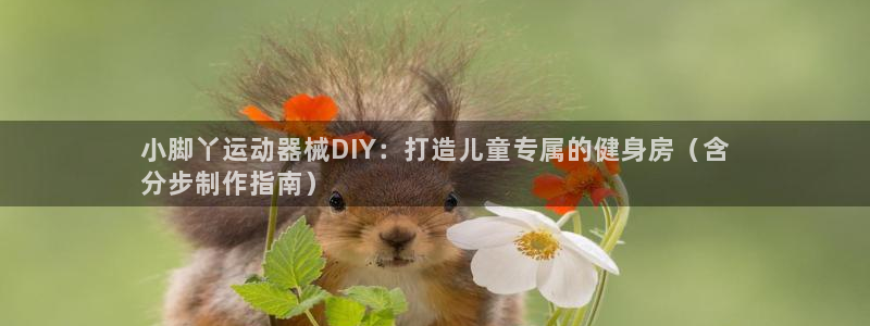 尊龙游戏中心：小脚丫运动器械DIY：打造儿童专属的健