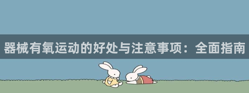 凯时官网的售后服务：器械有氧运动的好处与注意事项：全