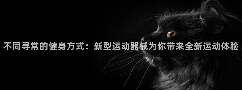 尊龙服饰有限公司地址