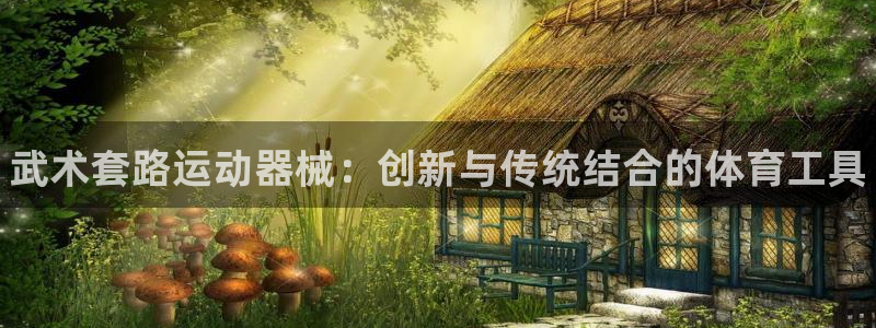 d88尊龙手机客户端下载：武术套路运动器械：创新与传统结合的