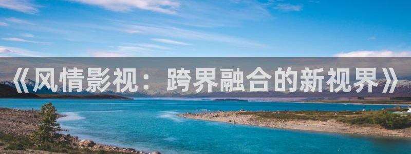 顶楼的大象 韩国电影：《风情影视：跨界融合的新视界》