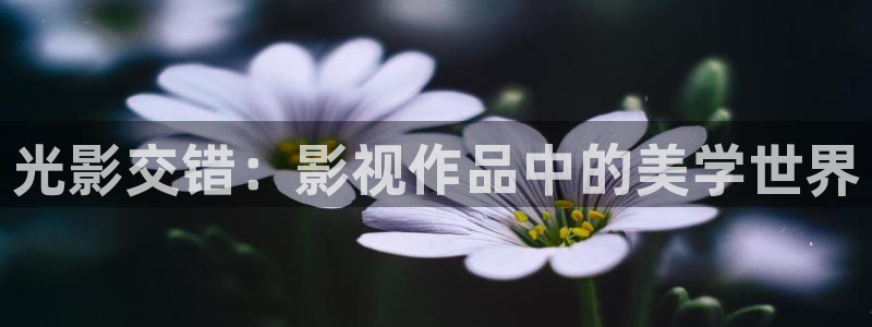 大象影院在线观看：光影交错：影视作品中的美学世界