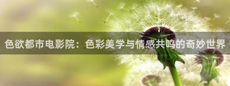 顶楼的大象电影免费观看