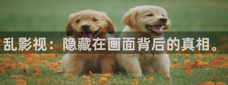大象影院