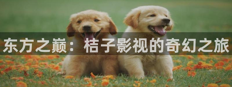 午夜大象影院：东方之巅：桔子影视的奇幻之旅