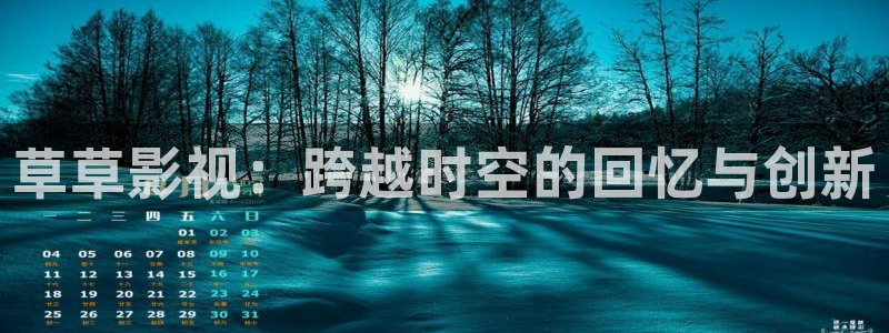 韩国大象电影：草草影视：跨越时空的回忆与创新