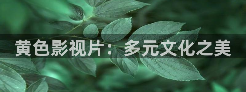 午夜大象影院：黄色影视片：多元文化之美