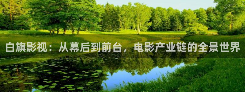 顶楼的大象 韩国电影：白旗影视：从幕后到前台，电影产业链的全景世界