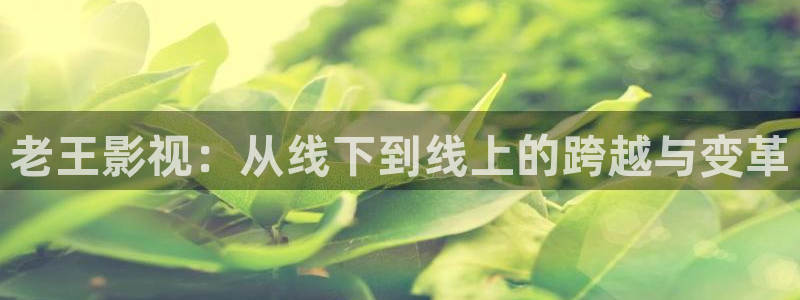 午夜大象影院：老王影视：从线下到线上的跨越与变革